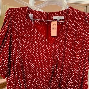 Burgundy, polkadot, short sleeve dress.